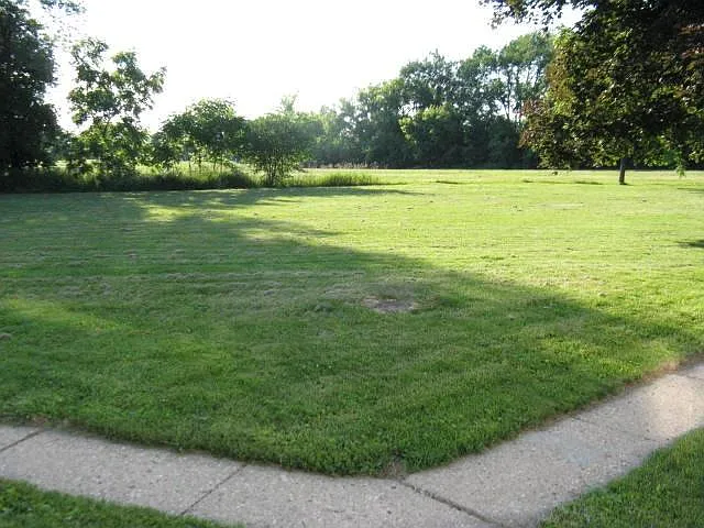 3 bed, 1.5 bath, 1350 sqft, $1,899 — Photo 2