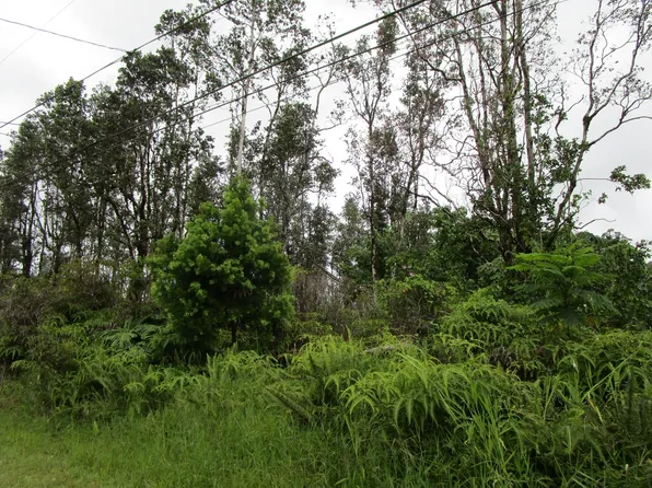 Road 6 Ooaa Lot 4140, Kurtistown, HI 96760