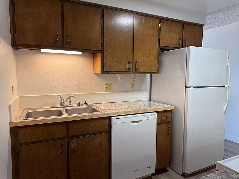 37 Shady Loop — Photo 17