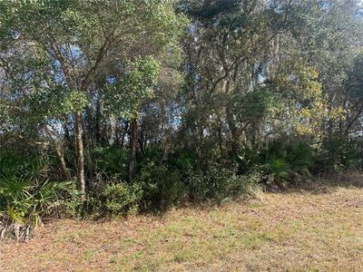 39926 FOREST DRIVE LOT 6, Eustis, FL, 32736