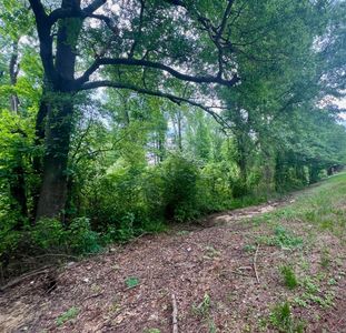 0 Highway 53, Rosston, AR, 71858