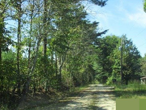 3rd image of 715 Kornegay Loop