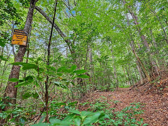2nd image of Fisher Field Rd