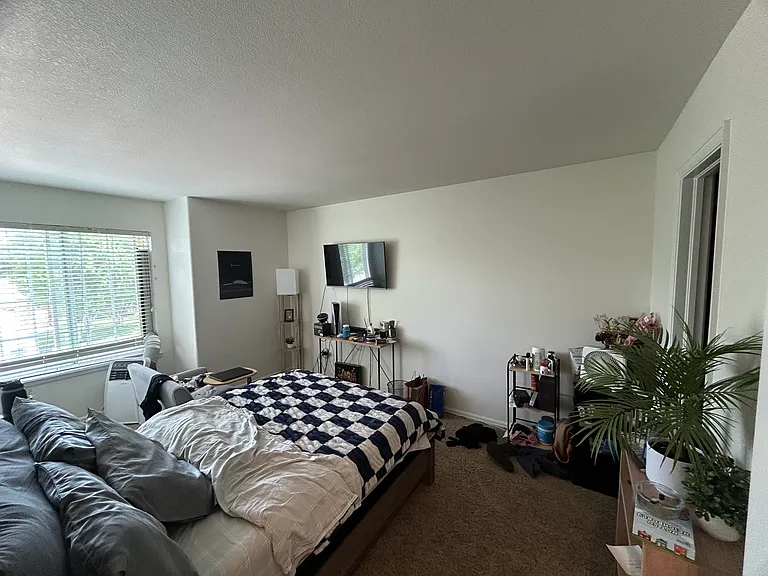 1619 Mountain Dr — Photo 15