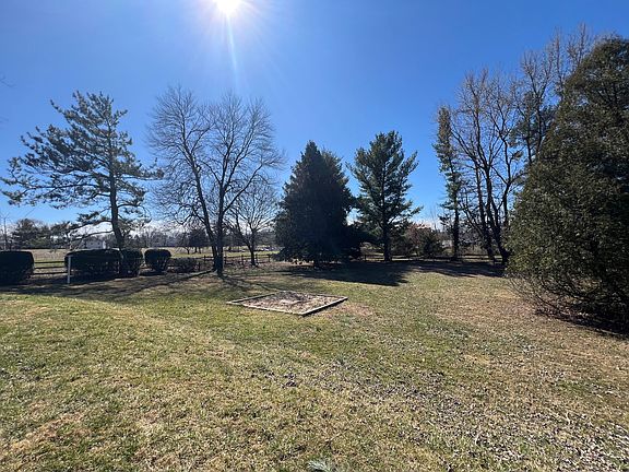 back yard 2_03112025