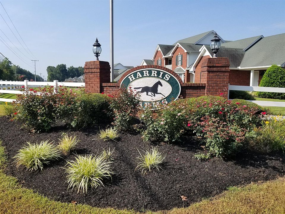 2nd image of 231 Bailey Ln