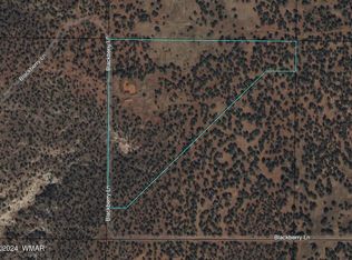 Blackberry Ln, Show Low, AZ 85901
