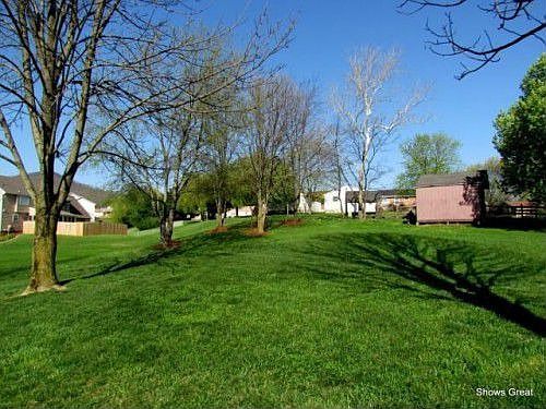 2nd image of 341 Sunflower Dr