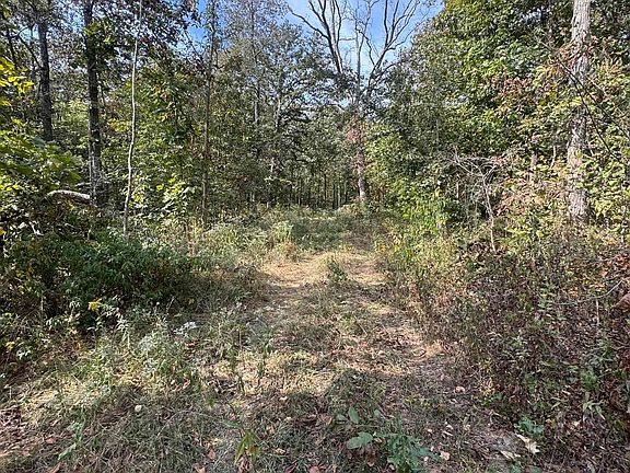 2nd image of 0 N Decker Rd