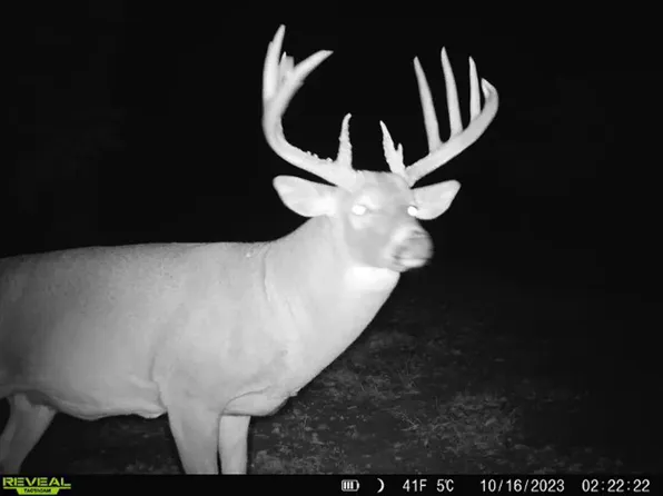 11086 S Wanamaker Rd, Carbondale, KS 66414