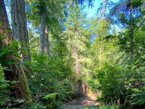 28686 141st Avenue SW, Vashon, WA 98070