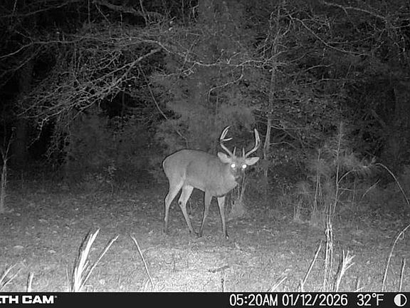 21438b93 3c07 4071 8888 628cd27be24f