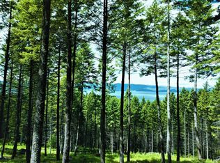 647 Pommel Dr, Bigfork, MT 59911