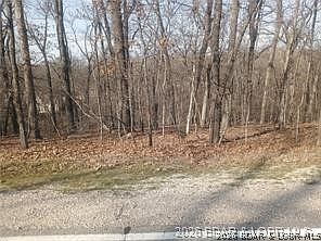5th image of 47 & 48 Bloomington Dr