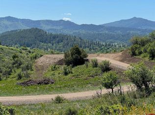 778 W Arbol Park Dr, Chromo, CO 81128