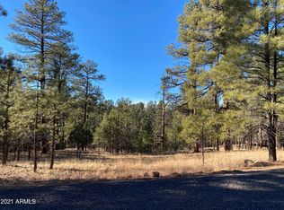 2732 Canyon View Dr LOT 531, Happy Jack, AZ 86024