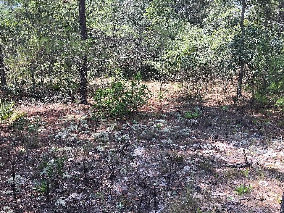 1st image of 5227 W Opaline Ln