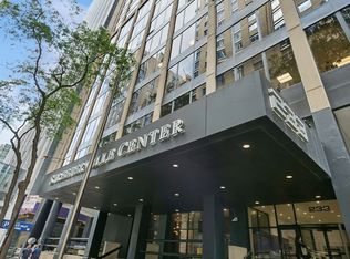 233 E Erie St APT 1005, Chicago, IL 60611