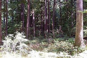 1st image of 63555 Skagit Way