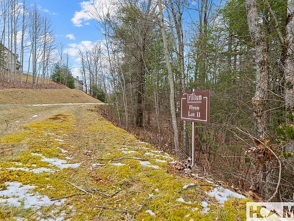 2nd image of Lt 11 Trillium Ridge