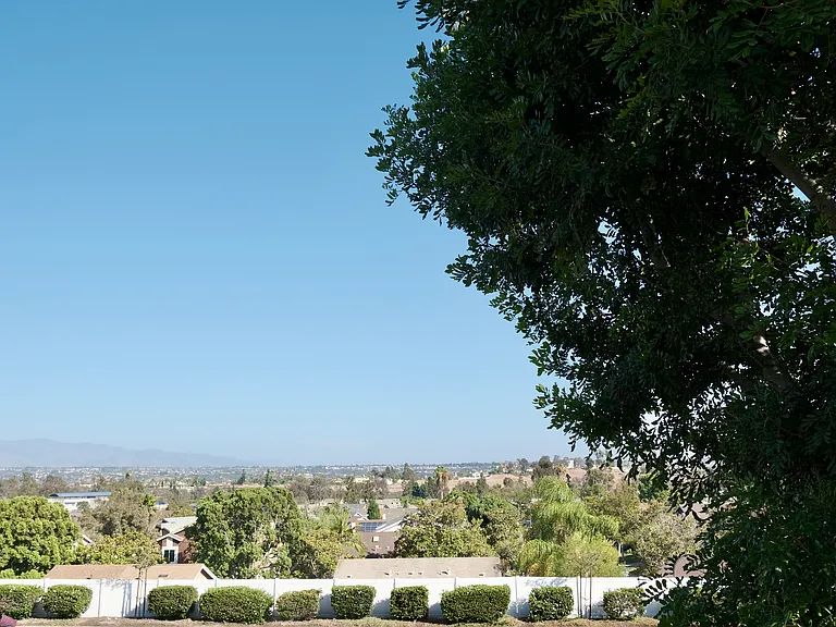 View from backyard