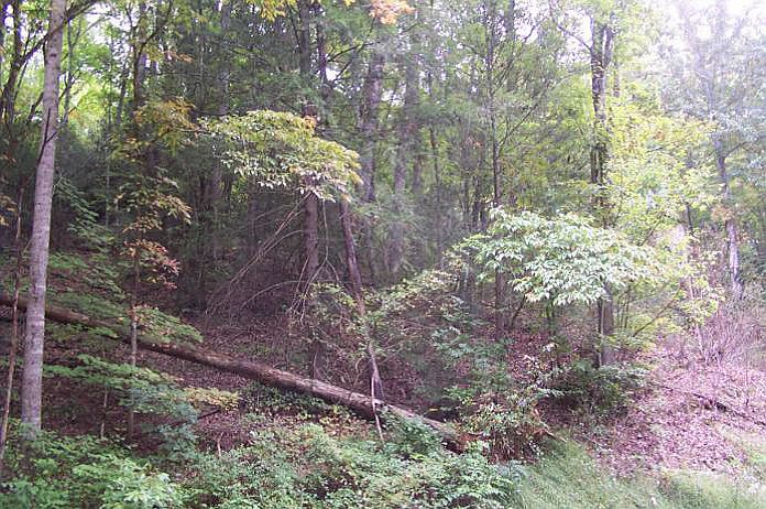 2nd image of Tsali Dr Lot 0176