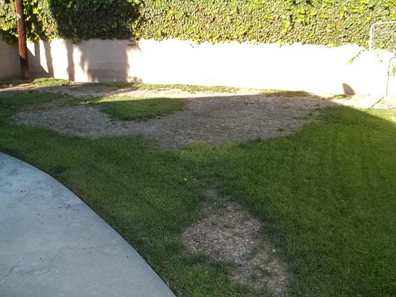 2nd image of 10719 Theis Ave
