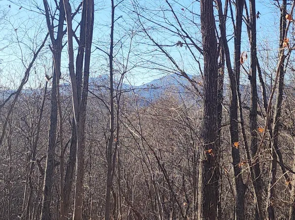 1526 Mushroom Ln, Goode, VA 24556