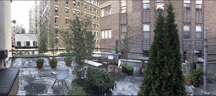 1st image of 321 W 103rd St APT A