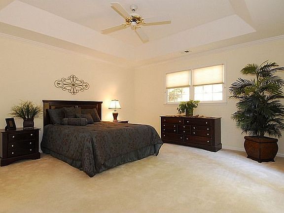 Large MA BR, trey ceiling