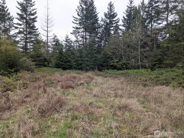 0 Critter Country Trail, Sequim, WA 98382