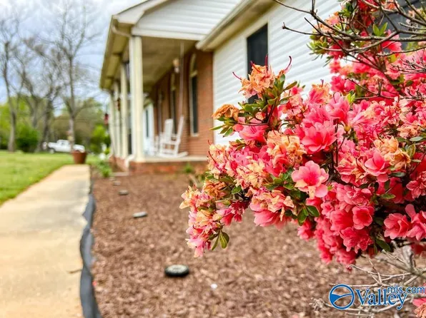 45 Mountain Brook Dr, Trinity, AL 35673