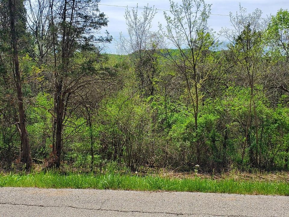 2nd image of 0 Waggoner Riffle Rd