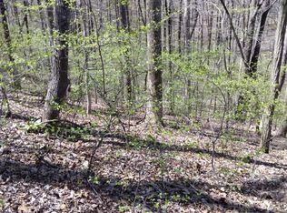 LOT M102 Skyview Dr, Ellijay, GA 30536