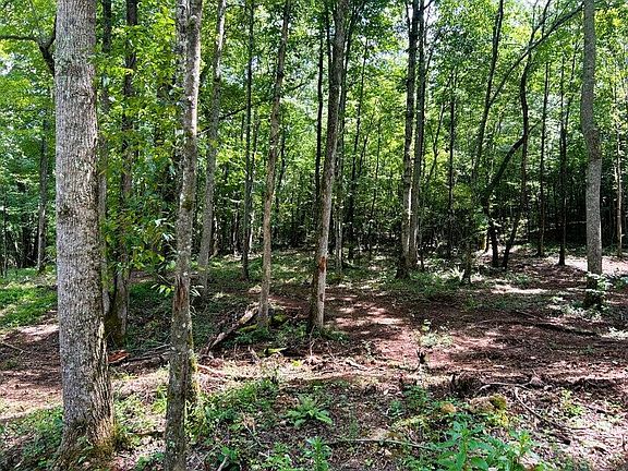 5th image of 8 Pleasant Hill Rd