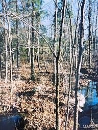 2nd image of 0 Buck Mountain Rd