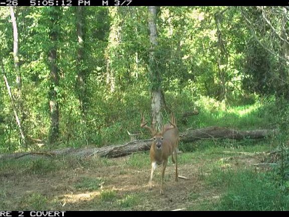 3rd image of 16675 Us Highway 52 Lot 2