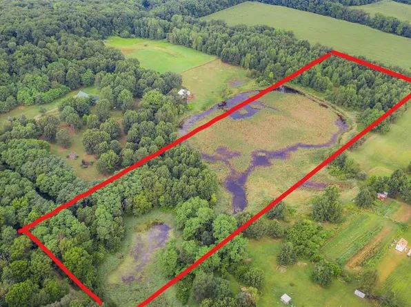 6710 Moreland Rd, Jonesville, MI 49250