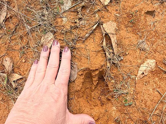 3rd image of 1 Gibson Rd