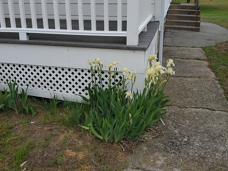 846 Pleasant St — Photo 2