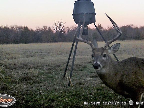 2nd image of 1308 County Road 3504