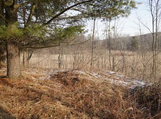 7441 Webster Crossing Rd LOT WP001, Springwater, NY 14560