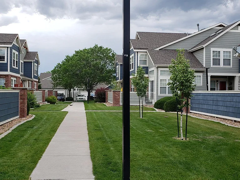 Neighborhood