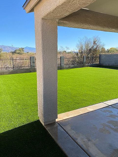 Backyard new