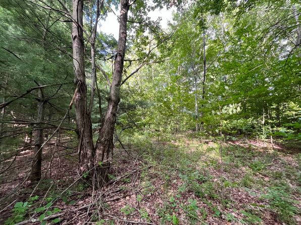 0 S Greenbush Rd #11, Erin, NY 14838