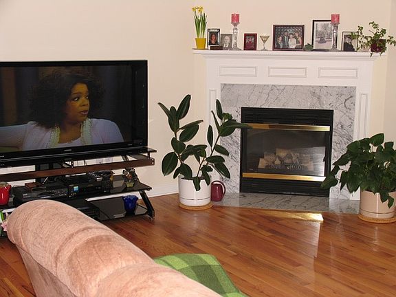 Living room, 1st floor