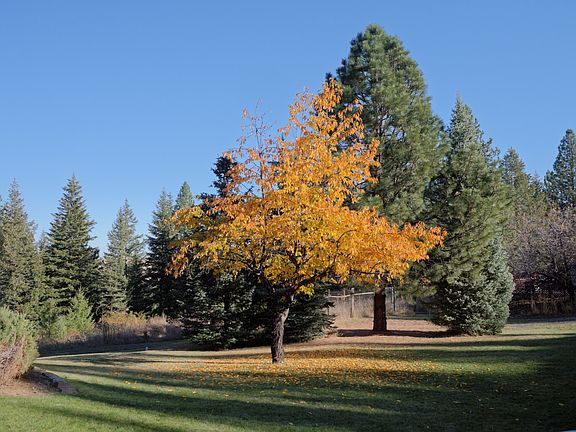 View to east of home