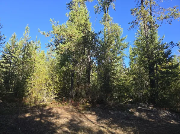 Red Tail Way, Colville, WA 99114