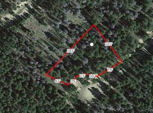 LOT 406 Glory Hole Rd, Idaho Springs, CO 80452