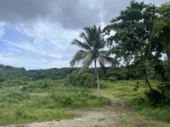 El Zarzal, Rio Grande, PR 00745